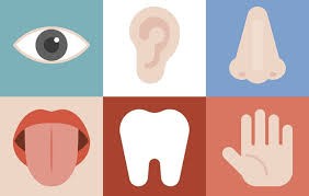 🌿 Your Body is a Storyteller: