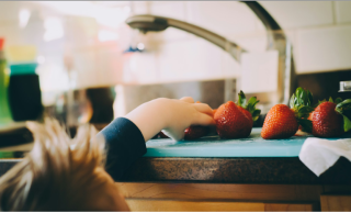Thrive Together: Transforming Kids' Meals into Healthy Delights